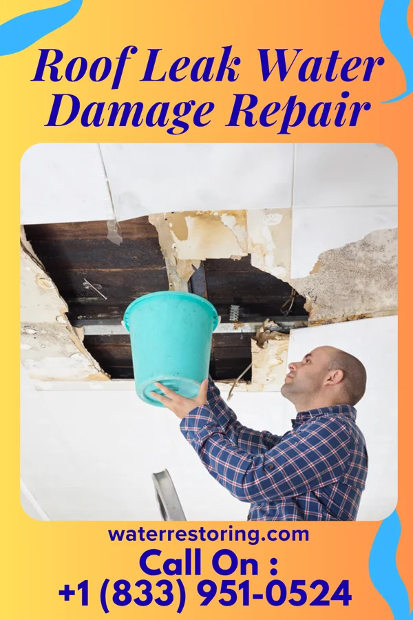Roof Leak Water Damage Repair in Pomaria, SC
