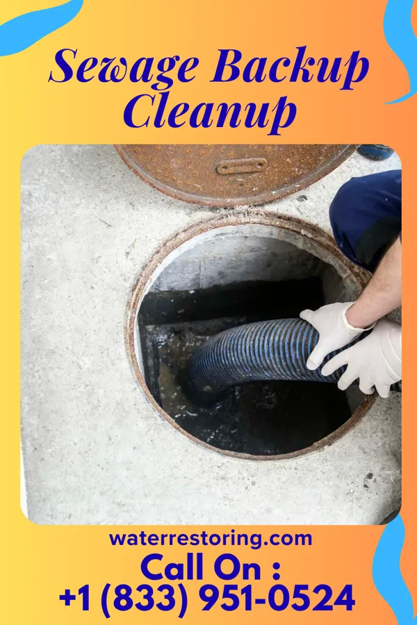 Sewage Backup Cleanup in Pomaria, SC