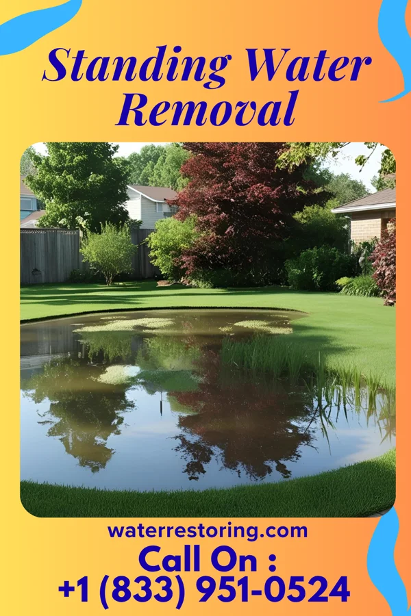 Standing Water Removal in Pomaria, SC
